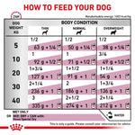 Load image into Gallery viewer, Dog feeding chart指导如何喂养您的狗
