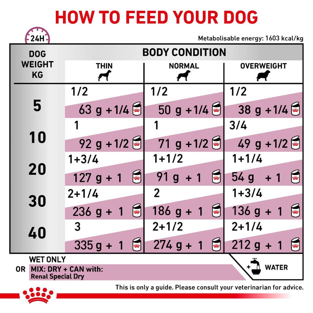 Dog feeding chart指导如何喂养您的狗