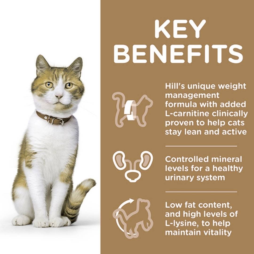 Cat with text detailing key benefits of Hill's unique weight management formula on a brown background