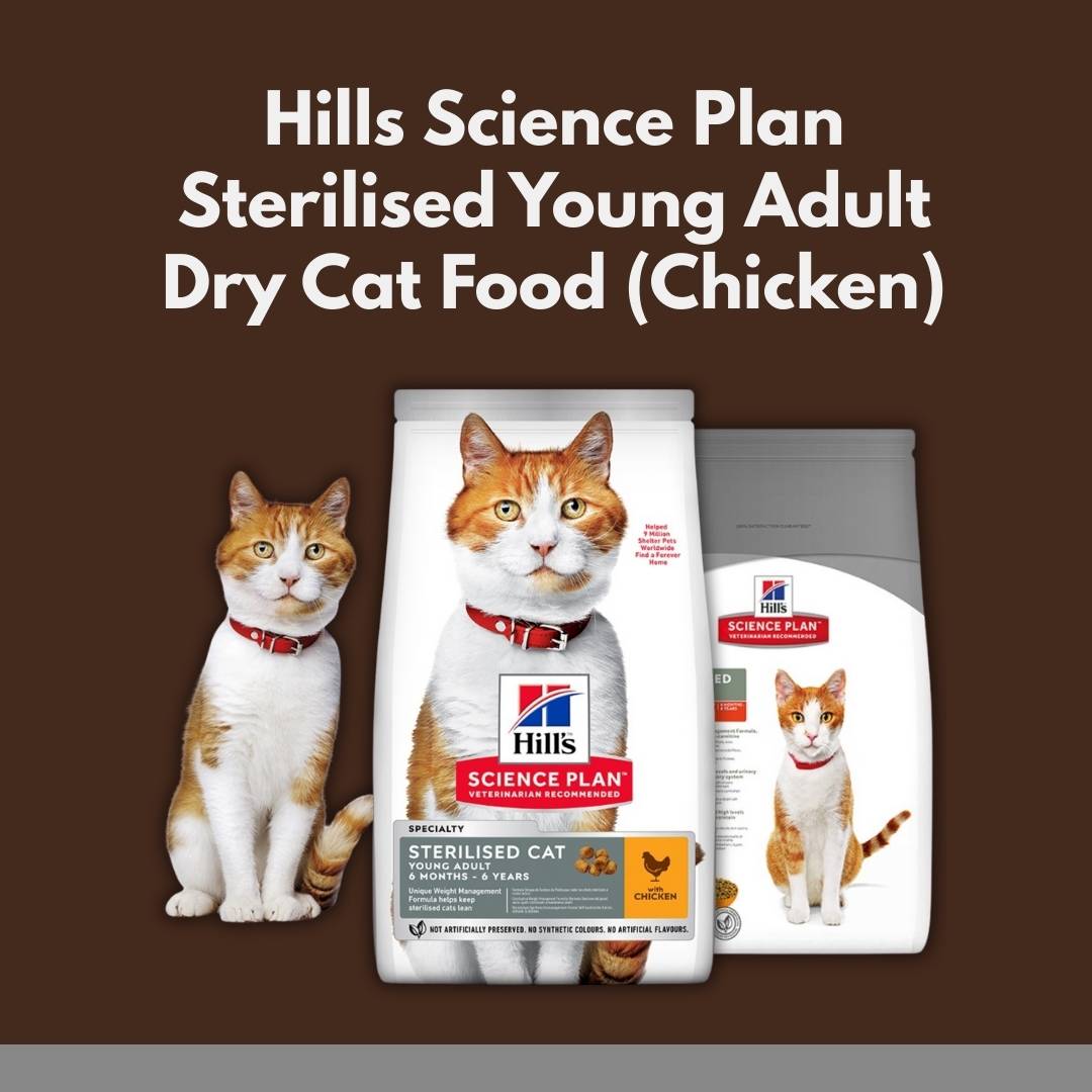 Hills Science Plan sterilised young adult dry cat food packaging with a brown background