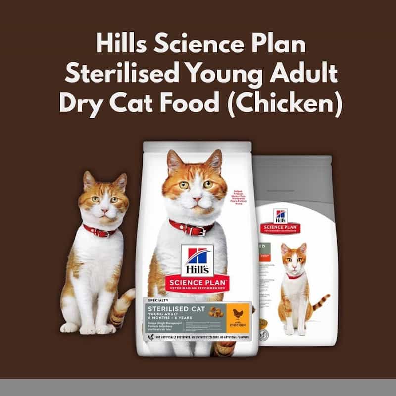sterilised cat food