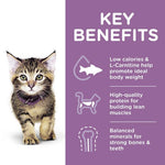 Load image into Gallery viewer, Kitten with key benefits of a pet food product on a purple background
