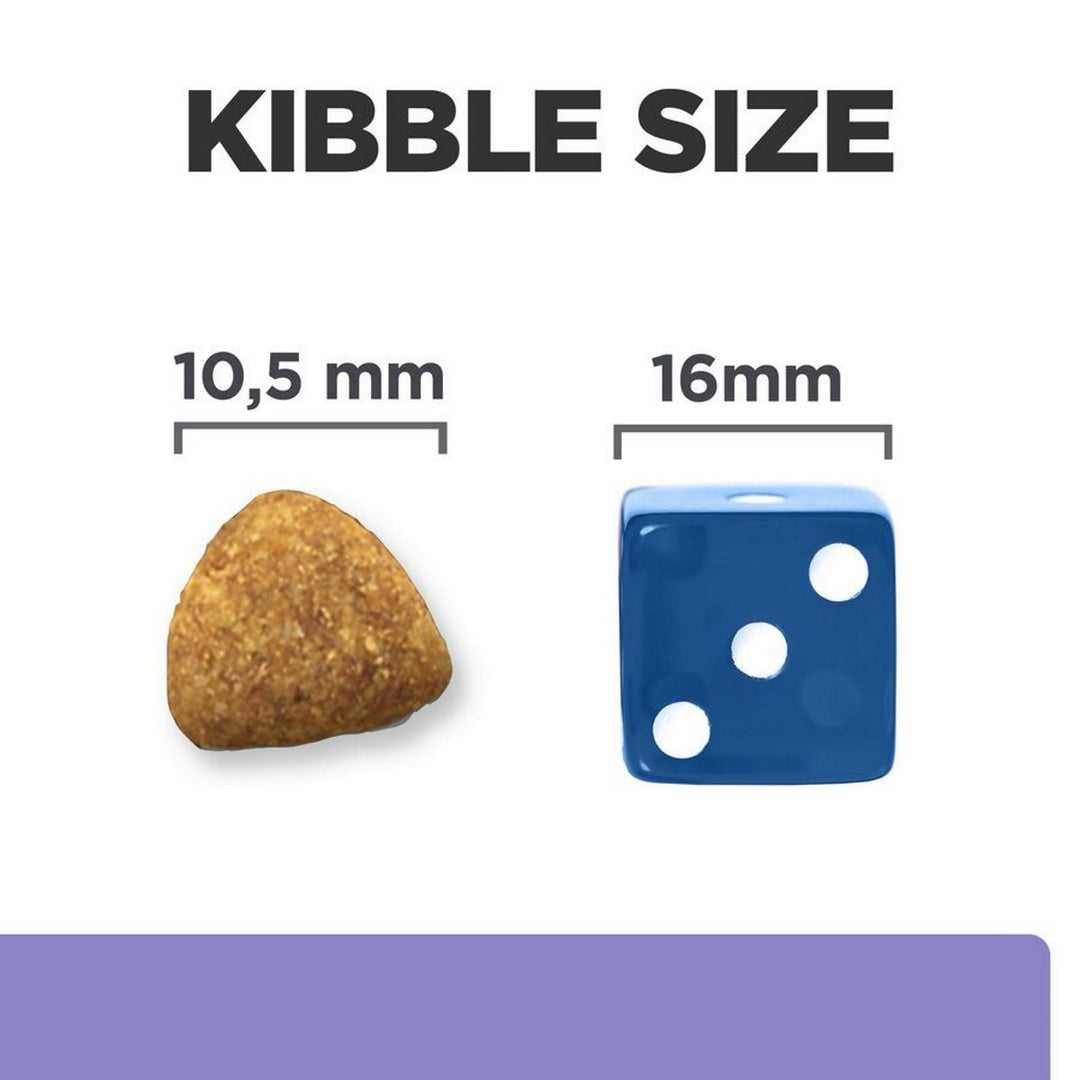 Comparison of kibble size to a blue die showing measurements.