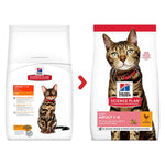 Load image into Gallery viewer, Two bags of Hills Science Plan cat food with a cat on each bag on a white background
