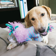 Dog playing with a colorful toy on a couch from alifant