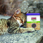 Load image into Gallery viewer, Cat playing with a KONG Naturals catnip can on a stone surface
