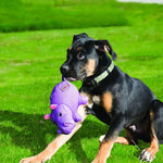 Load image into Gallery viewer, Dog playing with a purple toy on a grassy field

