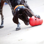 Load image into Gallery viewer, Dog playing with a red ball on a light surface
