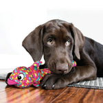 Load image into Gallery viewer, Dog lying on a wooden floor with a colorful fish-shaped toy
