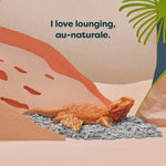 Load image into Gallery viewer, Lizard lounging on a rock with a desert landscape and text &#39;I love lounging, au-naturale.&#39;
