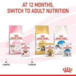 Load image into Gallery viewer, Royal Canin cat food packages with text indicating switching to adult nutrition at 12 months.
