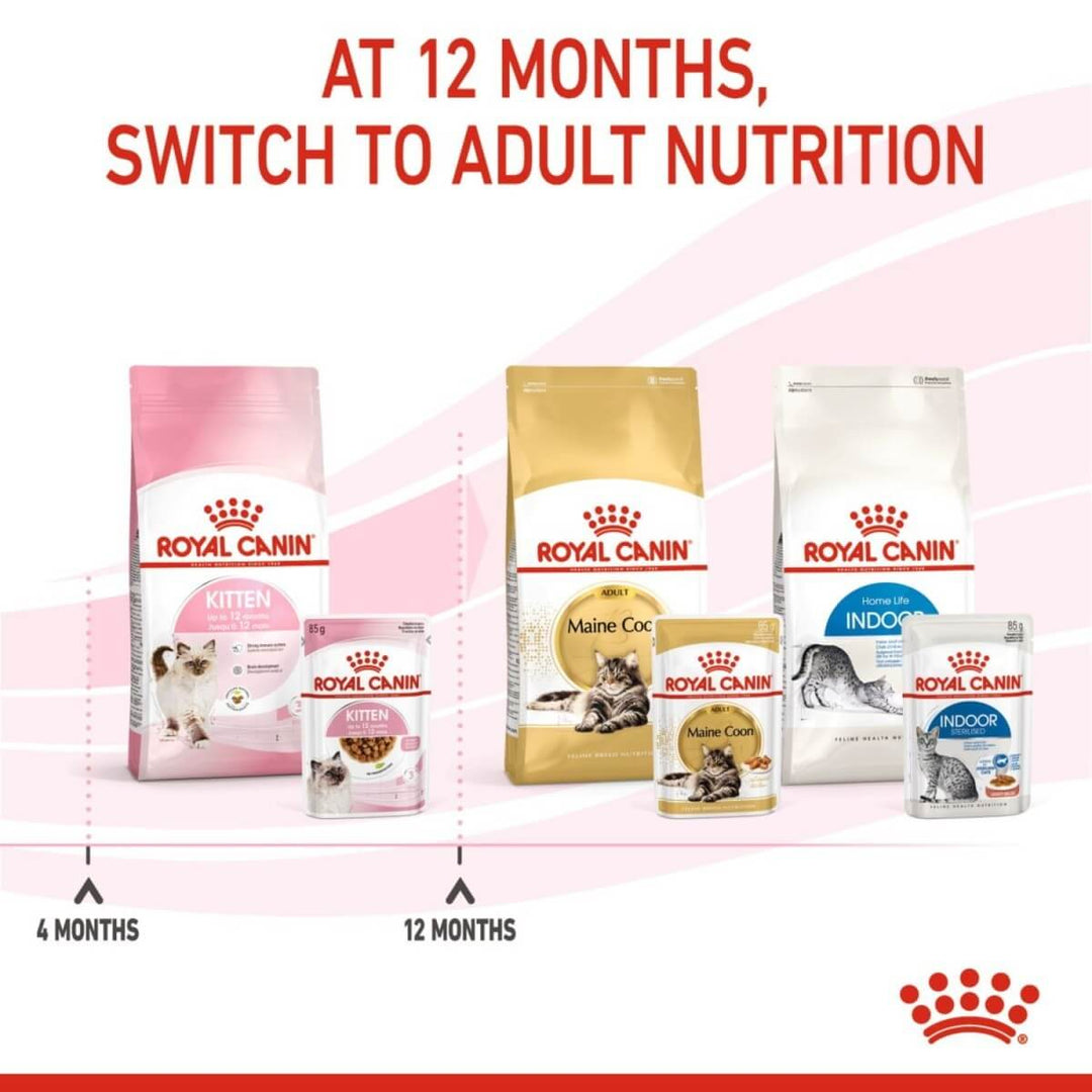 Royal Canin cat food packages with text indicating switching to adult nutrition at 12 months.