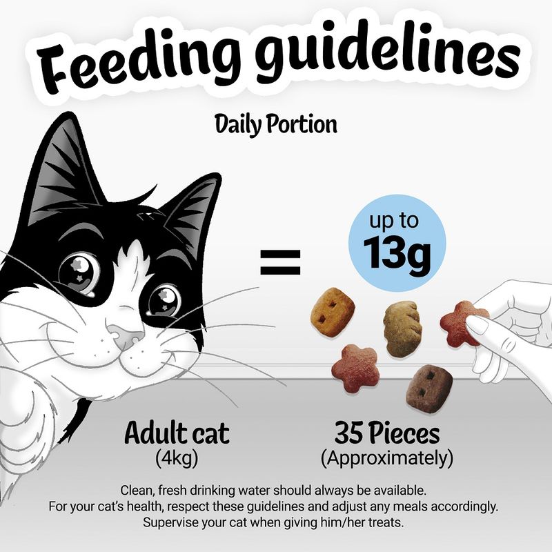 Feeding guidelines for adult cats with a cartoon cat and treats on a white background