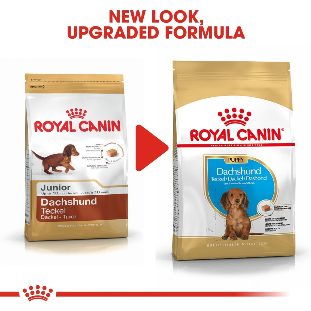 Two packages of Royal Canin Dachshund dog food with text indicating a new look and upgraded formula.