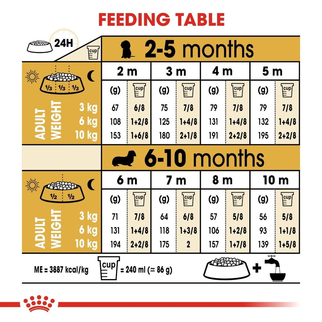 Feeding chart for puppies from 2 to 10 months with measurements and weights.
