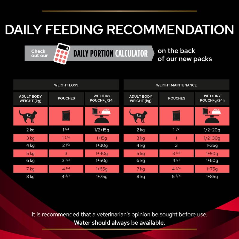 Daily feeding recommendation chart for cats with weight loss and maintenance guidelines on a black background.