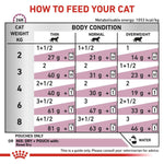 Load image into Gallery viewer, Feeding chart for cats with weight and body condition guidelines.
