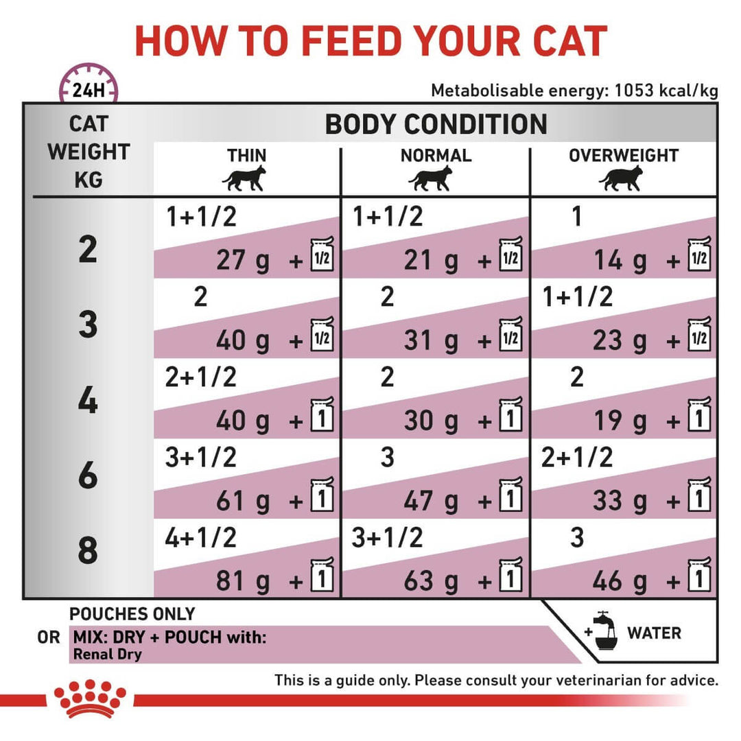 Feeding chart for cats with weight and body condition guidelines.