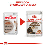 Two packages of Royal Canin Ageing +12 cat food with a red arrow between them indicating a new look and upgraded formula.
