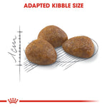 Load image into Gallery viewer, Three pieces of brown kibble with a measurement scale on a white background, featuring the Royal Canin logo.
