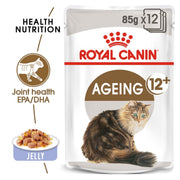 Royal Canin Ageing 12+ cat food pouch packaging on a white background
