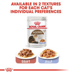 Load image into Gallery viewer, Royal Canin ageing cat food package with gravy and jelly options on a white background
