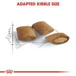 Load image into Gallery viewer, Adapted kibble size with a measurement scale on a white background, featuring Royal Canin logo.

