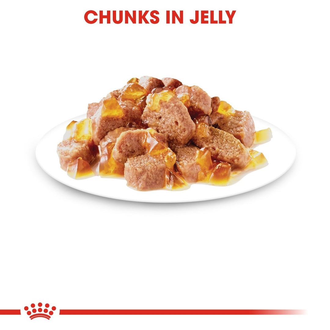 Dog food with chunks in jelly on a white plate, branded with a red logo at the bottom.