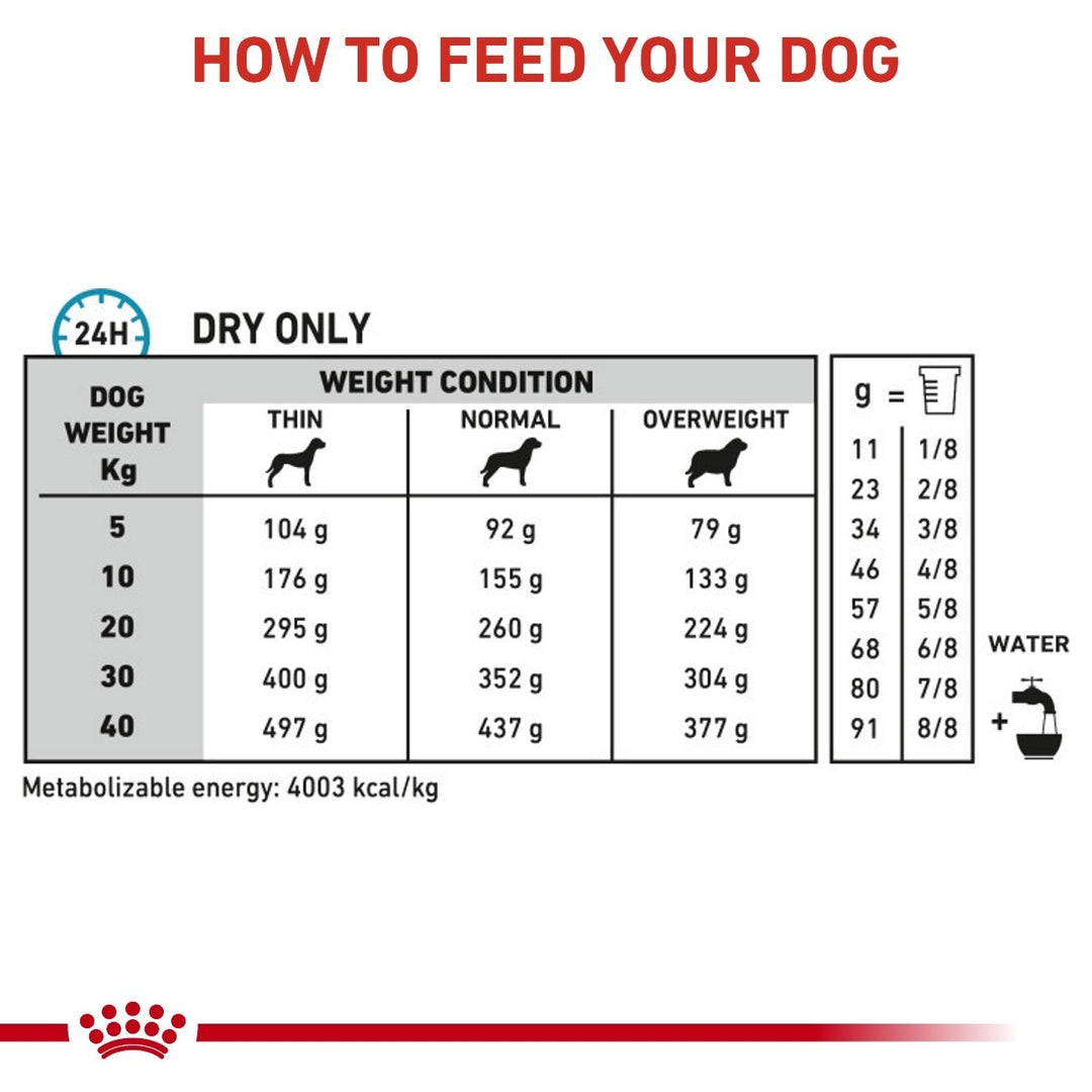 Dog feeding chart for dry food only with weight and quantity guide.