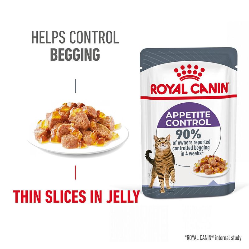Royal Canin Appetite Control cat food pouch with thin slices in jelly on a white background