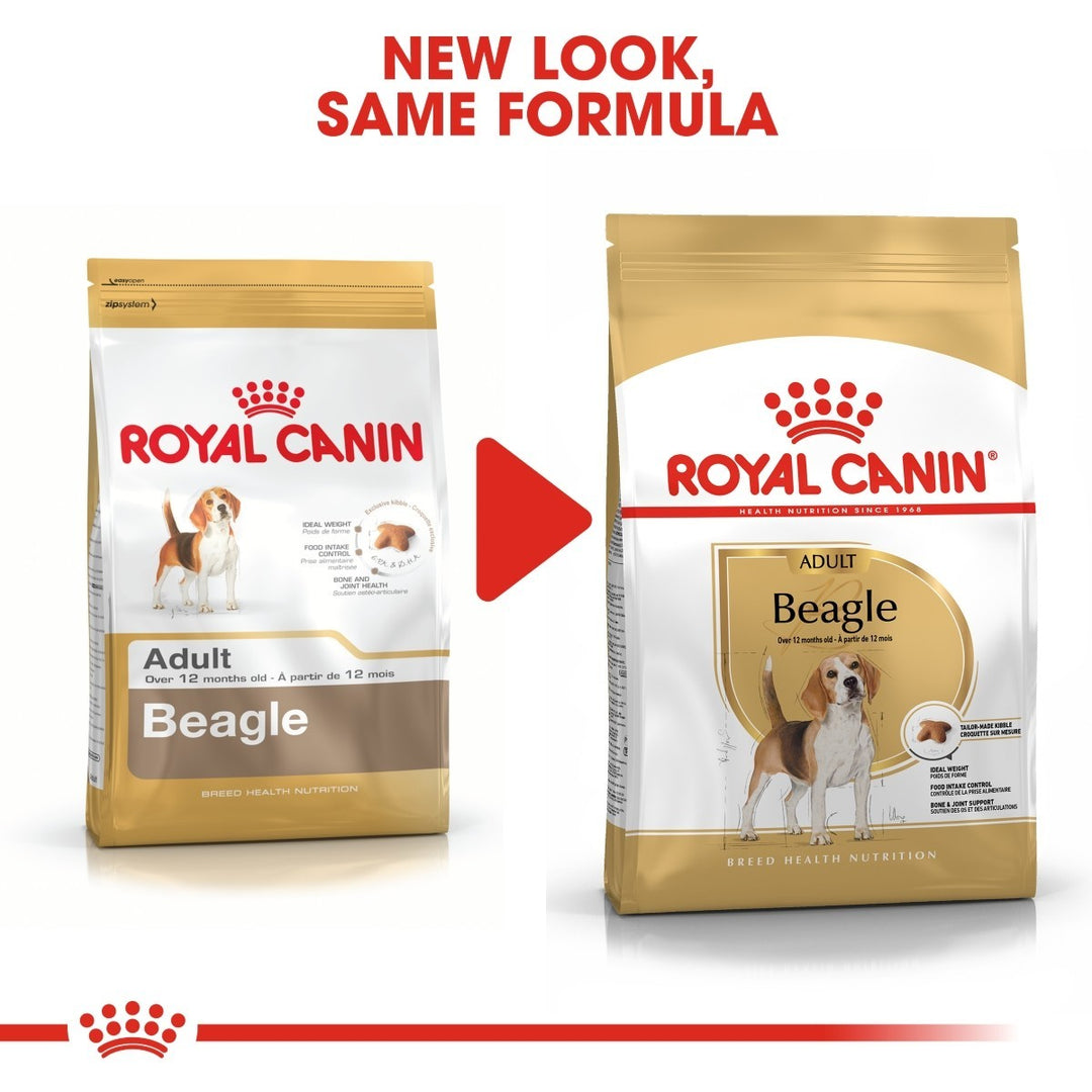 Two packages of Royal Canin Beagle dog food with a red arrow between them indicating a new look.