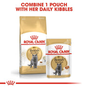 Two Royal Canin British Shorthair cat food packages on a white background with text.