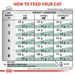 Load image into Gallery viewer, Feeding chart for cats with weight guidelines and recommended dry food amounts.
