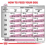 Load image into Gallery viewer, Feeding chart for dogs showing recommended food amounts based on weight and body condition.
