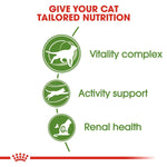 Load image into Gallery viewer, Diagram of cat nutrition benefits with icons and text on a white background
