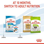 Load image into Gallery viewer, Royal Canin dog food packages for different life stages on a white background
