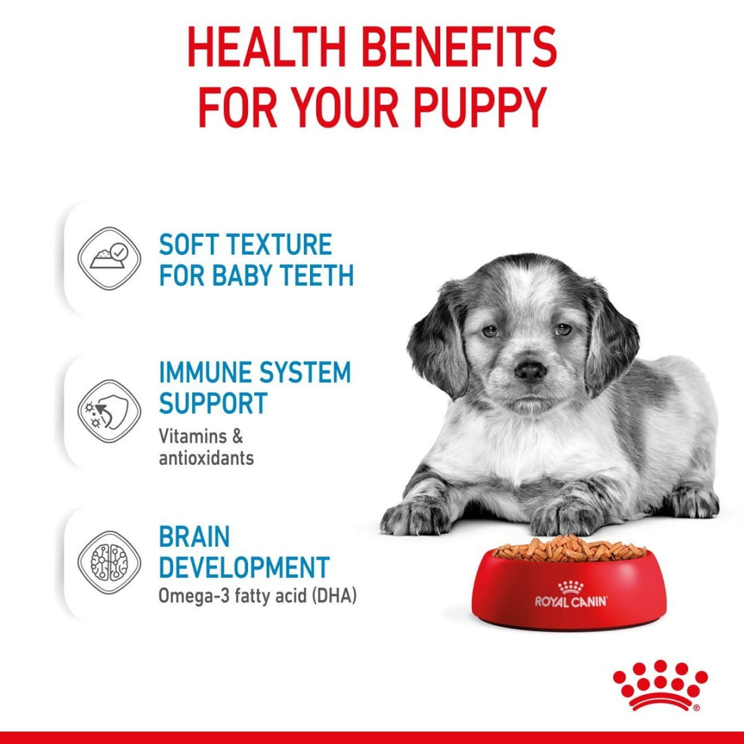 Advertisement for Royal Canin puppy food with a puppy and text about health benefits on a white background.