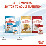 Load image into Gallery viewer, Royal Canin dog food packages with text indicating switching to adult nutrition at 12 months.

