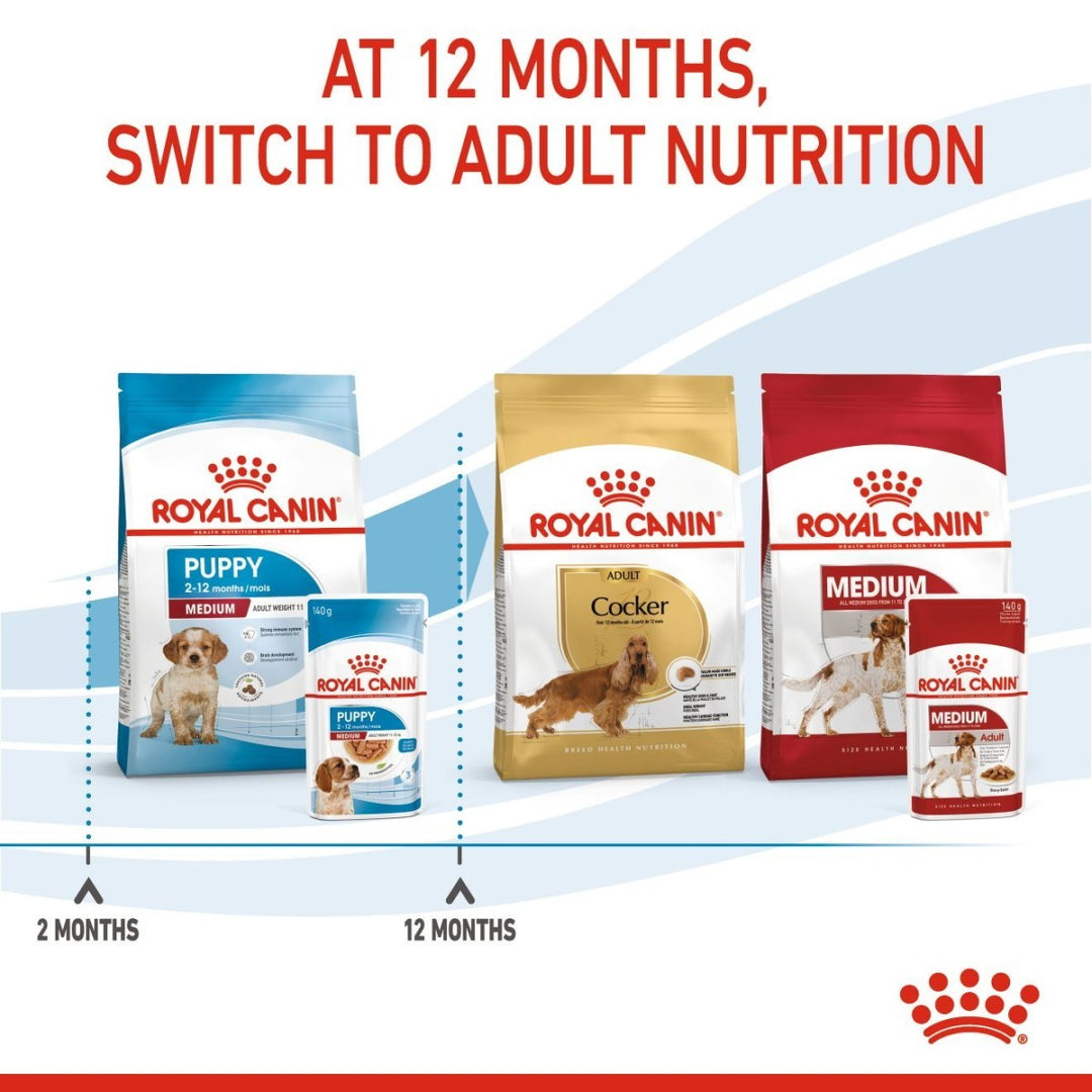 Royal Canin dog food packages with text indicating switching to adult nutrition at 12 months.