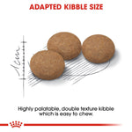 Load image into Gallery viewer, Three brown kibble pieces with a ruler and text about adapted kibble size on a white background.
