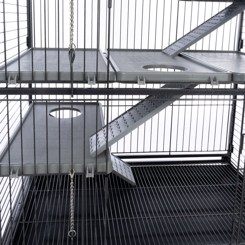 Bird cage with perches and a hanging toy