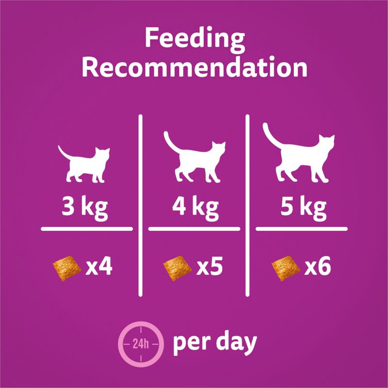 Feeding recommendation chart for cats on a purple background