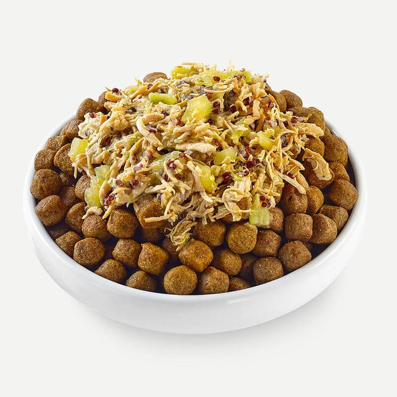 White bowl with dog food and a scoop of chicken salad on a white background