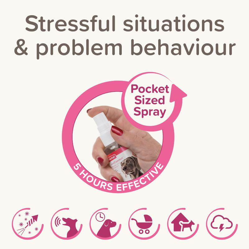 beaphar CaniComfort® Calming Spray for Dogs