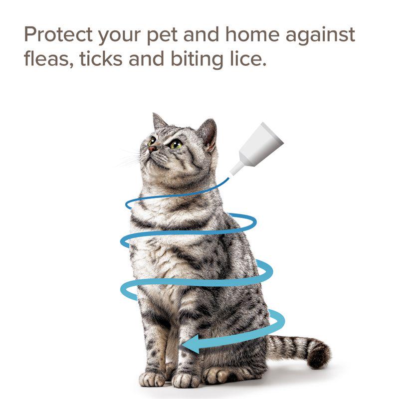 beaphar FIPROtec® COMBO Flea and Tick Spot-On for Cats