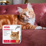 Load image into Gallery viewer, beaphar WORMclear® Spot-On Solution for Cats
