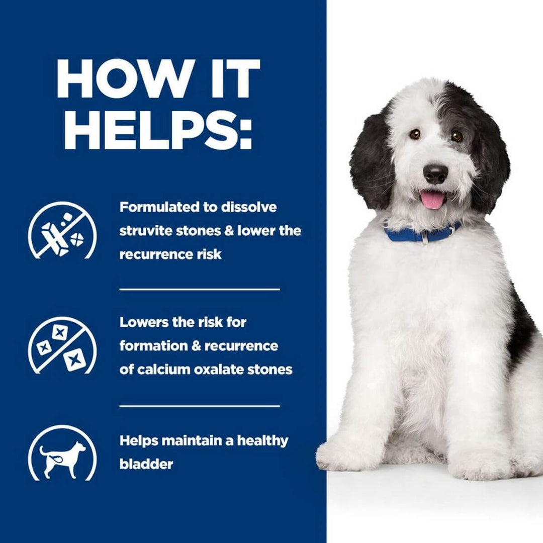 Dog with text on how it helps dissolve stones and maintain a healthy bladder.