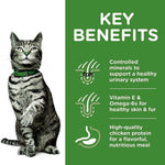 Load image into Gallery viewer, Cat wearing a green collar with key benefits of a pet food product on a green background
