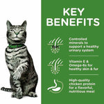 Load image into Gallery viewer, Cat wearing a green collar with key benefits of a pet food product on a green background
