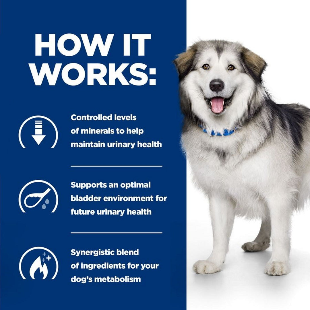 Dog with text on urinary health and bladder support on a blue background
